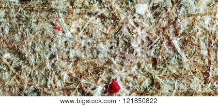 Recycled Cardboard Seen With Microscope