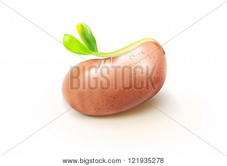Growth plant illustration