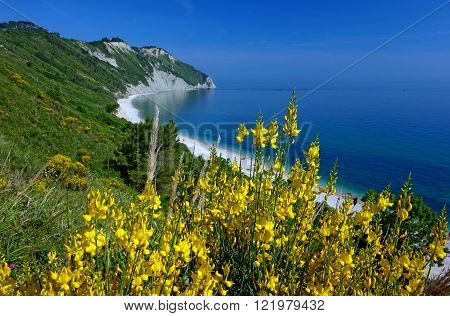 the long sandy beach of portonovo monte conero italy