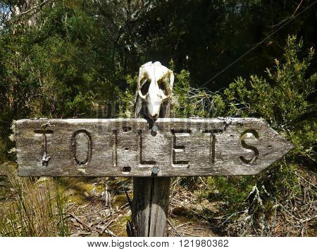 toilet wooden sign with an animal skull
** Note: Soft Focus at 100%, best at smaller sizes