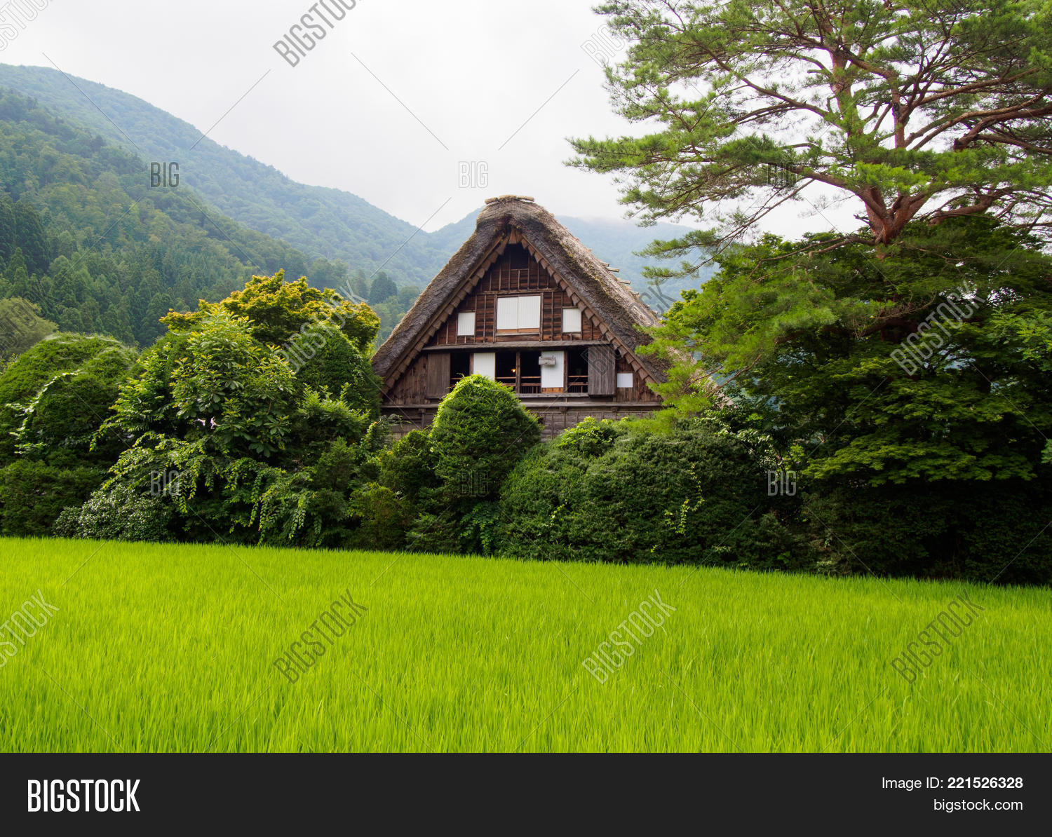 Image Preview