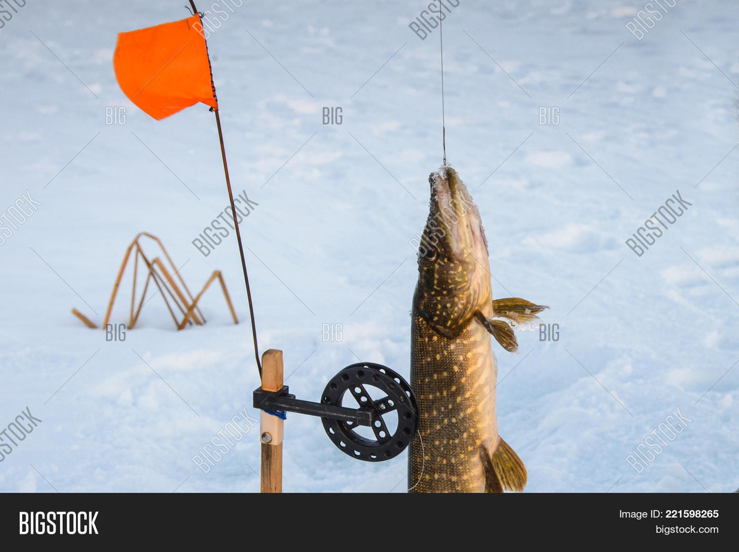 Image Preview