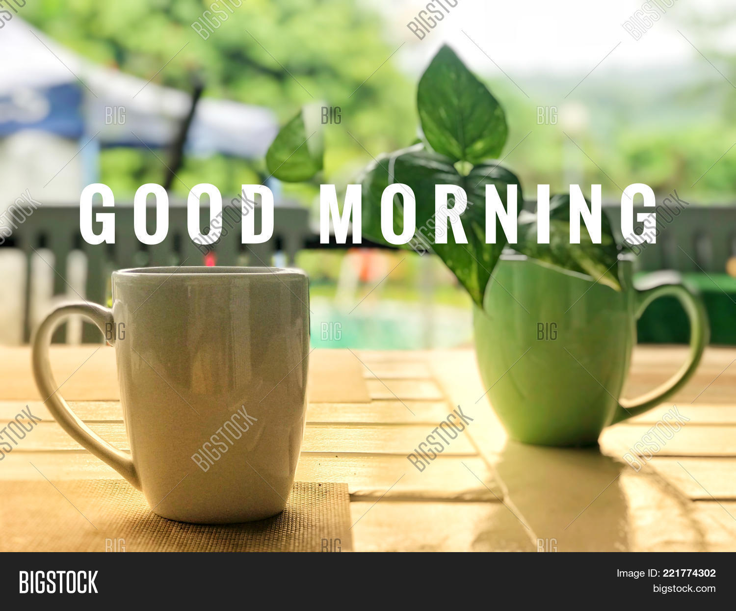 Image Preview