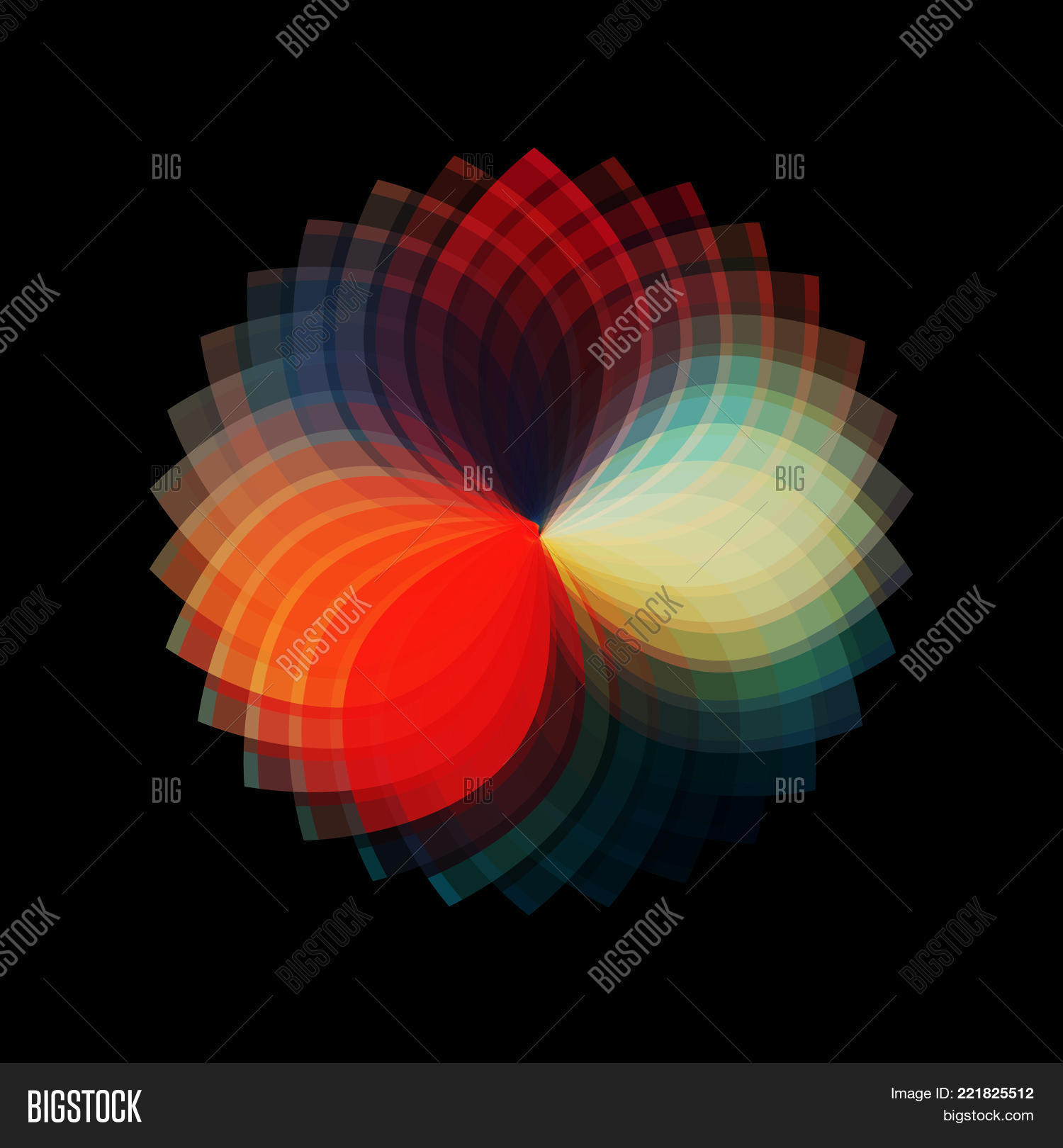 Image Preview