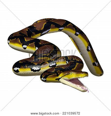 3D Rendering Reticulated Python On White