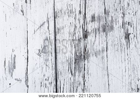 Retro wooden wall whitewashed by lime, modern style, weathered cracky messy wooden backdrop, vintage background for design