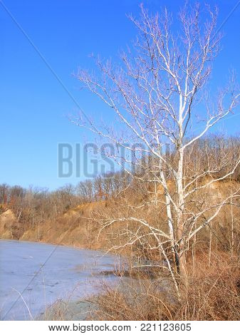 View of ice-covered Emerald Pond at Kickapoo State Park - Illinois
