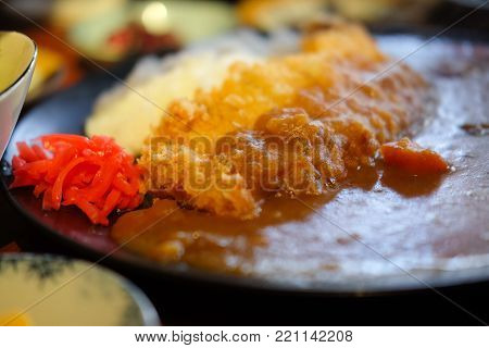 Close up of Katsudon pork cutlet on rice