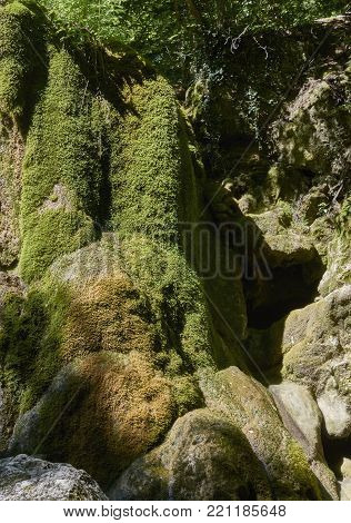 Rocks covered with green moss. The play of light and shadow, vertical view.