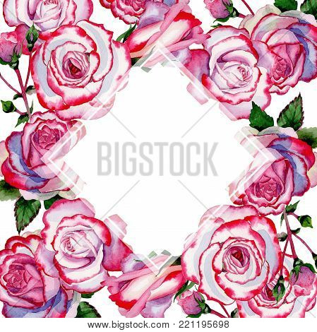 Wildflower hybrid rose flower frame in a watercolor style. Full name of the plant: hybrid rose, hulthemia, rosa. Aquarelle wild flower for background, texture, wrapper pattern, frame or border.