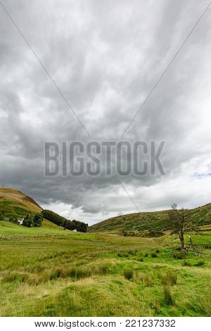 Portrait View Of Beautiful Landscape View Of A Floodplain In The Highlands Of Scotland.