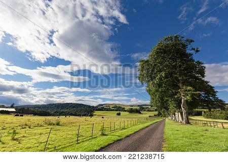 A Road Near Farmland Outside Of Crieff, Scotland.