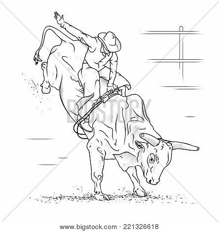 bull riding on white vector photo free trial bigstock