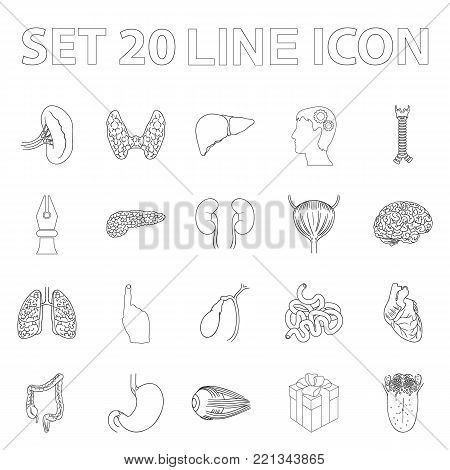 Human organs outline icons in set collection for design. Anatomy and internal organs vector symbol stock  illustration.