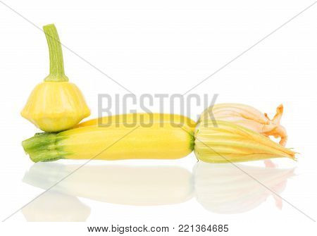Blossoming raw vegetable marrow isolated on white background