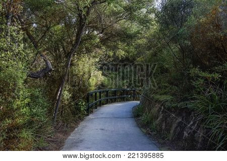 Road at the botanic garden in Aukland, New Zealand.