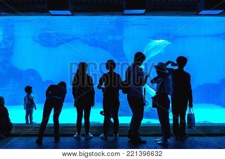 Zhuhai, Guangdong, China- Nov 9, 2017 : Ticket Of  The Zhuhai Chimelong Ocean Kingdom Park In Zhuhai