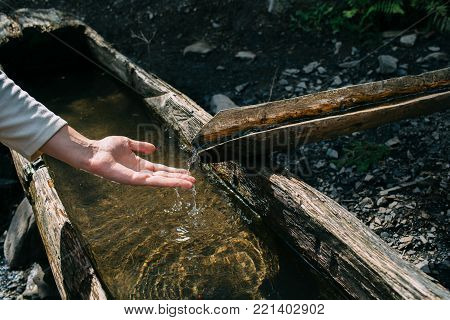 Man's hand and water trough for wildlife in Alps mountains