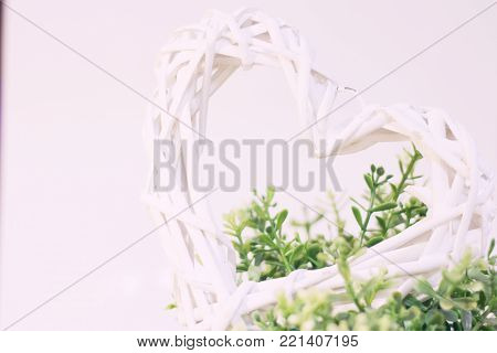 Valentine's Day, Wedding, Ecology, Save the Planet concept, a woven withy heart wreath on a green plant , close up