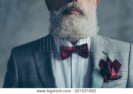 Portrait Of Proud Respected Confident Handsome Masculine Virile Vintage Grey-haired Sharp Dressed In