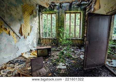 Interior of overgrown by vegetation room of abandoned and forsaken apartment house. Green post-apocalypse concept.