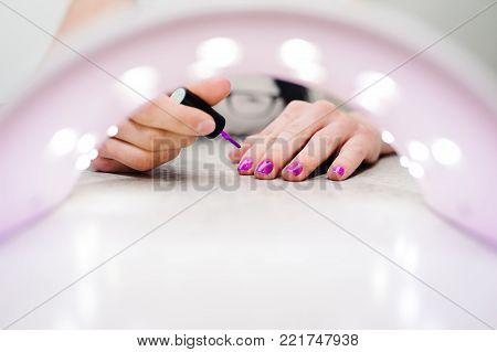 Hand paints the nails, gel purple, gel nail manicure through the lamp for manicure