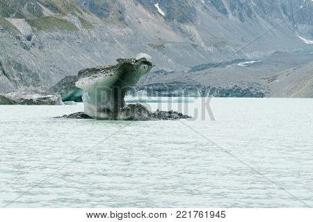 Fox Glacier in westland New Zealand natural landscape background