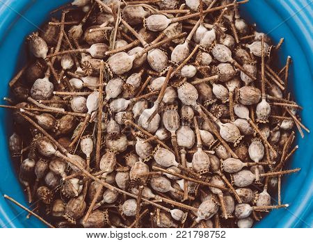 Dried Poppy Pods In A Plastic Cup.