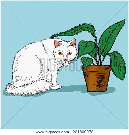 White cat sitting near a plant in a pot. Hand drawn illustration
