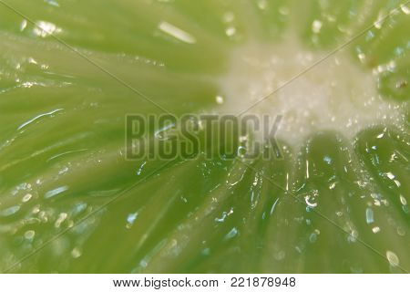 Macro of a detaild fresh lemon slice