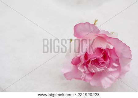Pink roses bouquet and hearts bokeh background symbolizing love and passion, Valentines Day Womans Day card