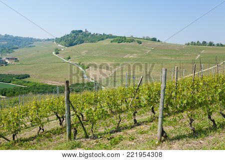 Beautiful Italian landscape. Vineyards from Langhe region,Italy agriculture. Unesco world heritage site