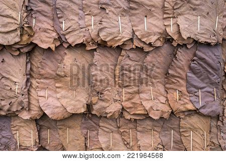 Wall made from dry leaves in the countryside of Thailand