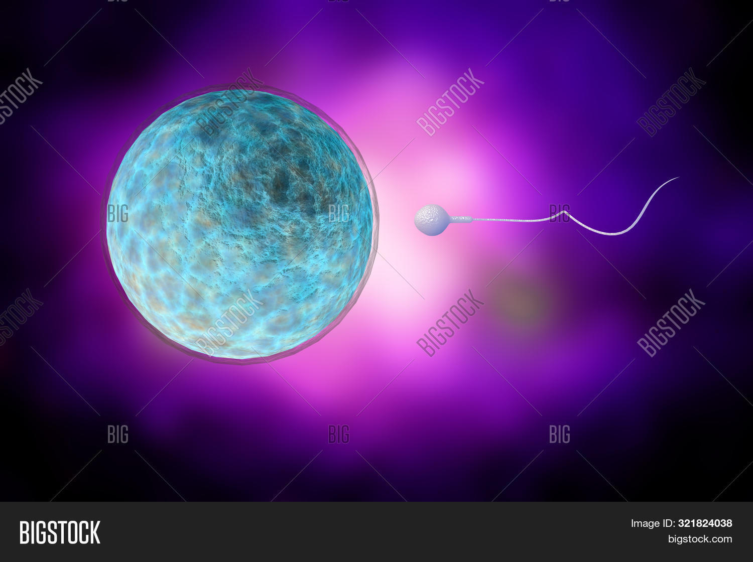 Swimming Sperm Race Image & Photo (Free Trial) Bigstock