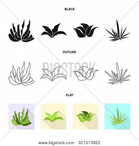 Vector Design Of Landscaping And Summer Icon. Collection Of Landscaping And Environment Stock Vector