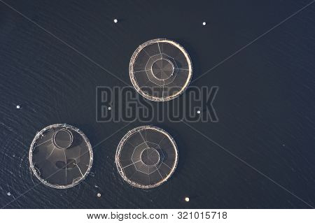 Fish Farm Salmon Sea Nets Farming At Sea Loch Fyne Argyll And Bute Scotland Uk
