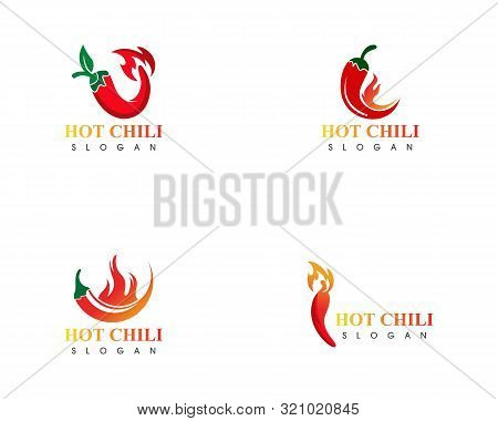 Red Hot Set Natural Of Chili Icon Template Vector Illustration