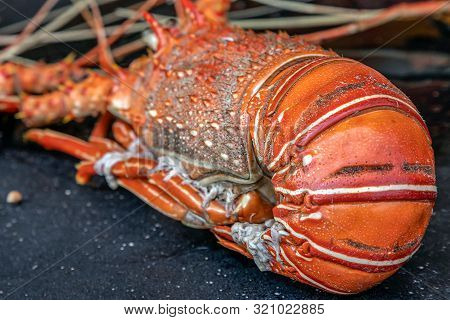 Background With Fresh Crayfish In Pan And Ready For Cooking.
