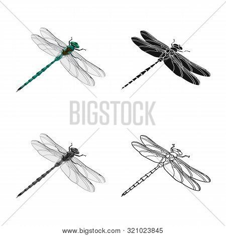 Vector Illustration Of Dragonfly And Colorful Icon. Collection Of Dragonfly And Beauty Stock Symbol 