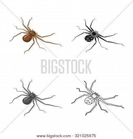 Vector Illustration Of Spider And Widow Sign. Collection Of Spider And Funny Stock Vector Illustrati