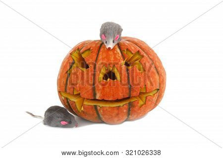 Halloween Pumpkin With Funny Rat Isolated On White Background. Jack Lantern From Juicy Pumpkin.