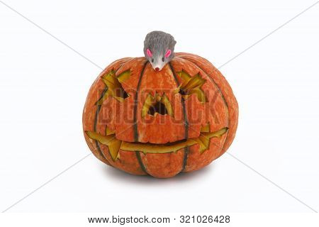 Halloween Pumpkin With Funny Rat Isolated On White Background. Jack Lantern From Juicy Pumpkin.