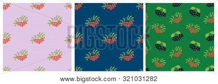 Seamless Pattern. Vector Berries. Mountain Ash, Rowan, Viburnum And Black Chokeberry. Natural Fashio
