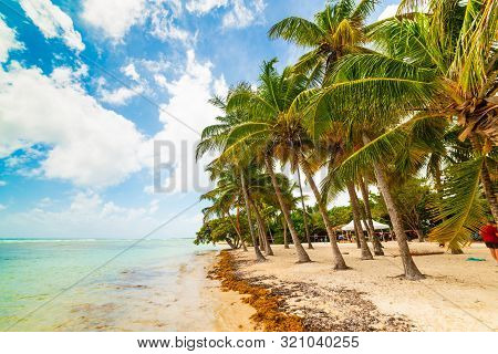 Bois Jolan Beach In Guadeloupe, French West Indies. Lesser Antilles, Caribbean Sea