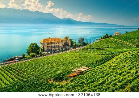 Spectacular Terraced Vineyard And Lake Geneva. Beautiful Place With Green Vineyards In The Famous La
