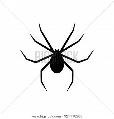 Black Silhouette Of Spider Isolated On White Background. Halloween Decorative Element. Illustration 