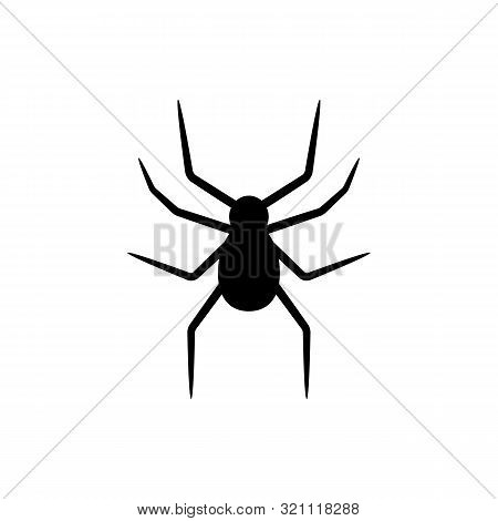Black Silhouette Of Spider Isolated On White Background. Halloween Decorative Element. Illustration 