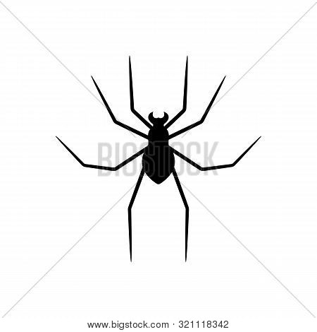 Black Silhouette Of Spider Isolated On White Background. Halloween Decorative Element. Illustration 