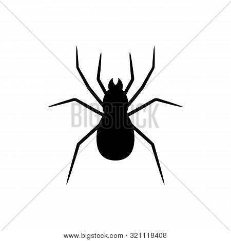 Black Silhouette Of Spider Isolated On White Background. Halloween Decorative Element. Illustration 