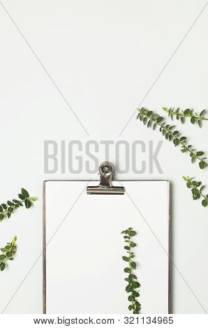 Blank White Paper With Folder And Metal Clothespin, Spring Green Twigs Of Plants On Gray Background